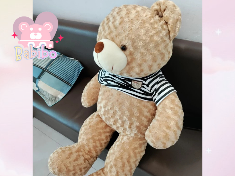  chọn size gấu b&ocirc;ng